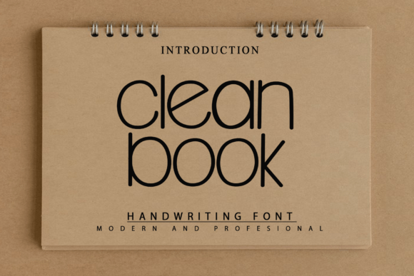 Clean Book Script Font: A Web Designer's Honest Review