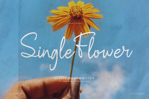 Single Flower Font Review: A Designer’s Honest Take