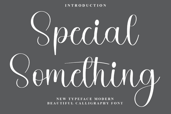 Special Something: A Modern Calligraphy Font for Digital Designers