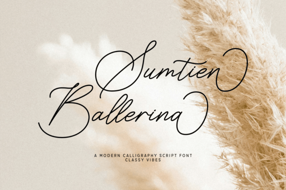 Sumtien Ballerina: A Script Font for Handmade Product Designs