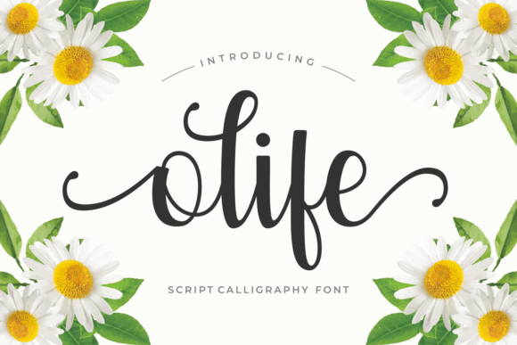 Why Olife Is the Script Font That Breathes Life Into Web Design